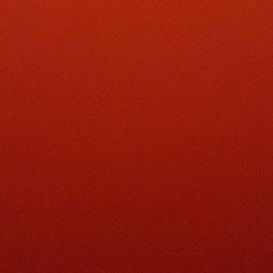 Meet your Posher, Randy